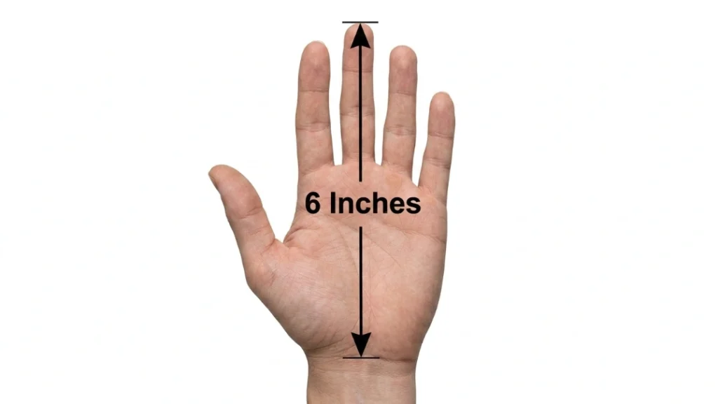 How Long Is 6 Inches