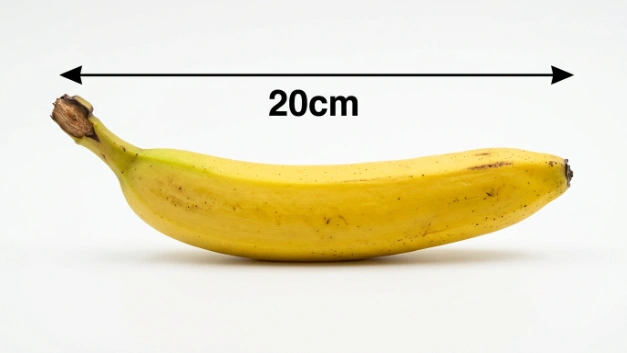 How Big Is 20cm