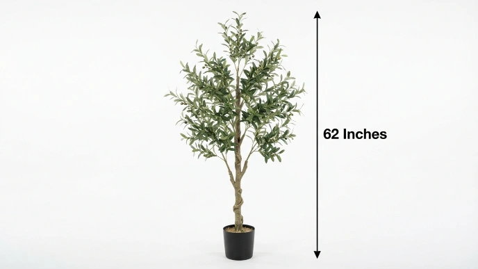 What Is 5’2 in Inches?