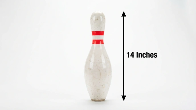 How Long Is 14 Inches