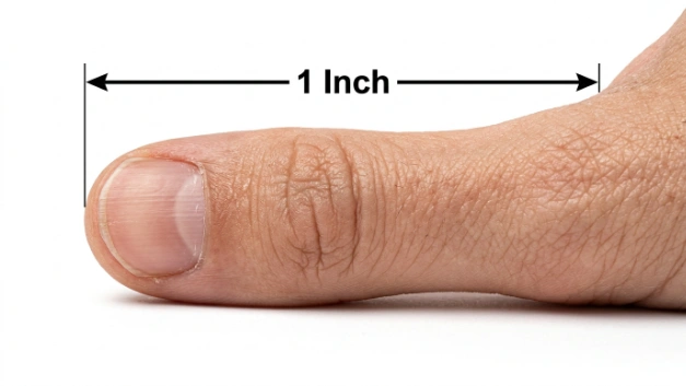 How Long Is an Inch