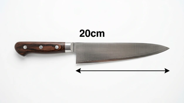 How Big Is 20cm