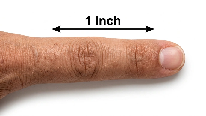 How Long Is an Inch